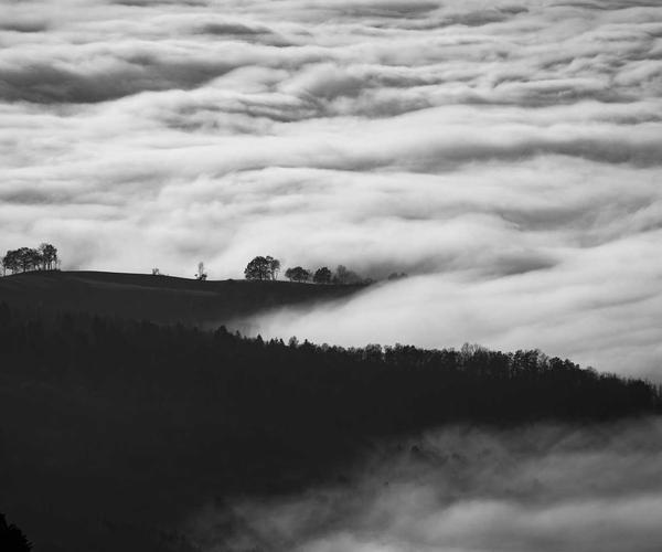 Compliance Dashboard