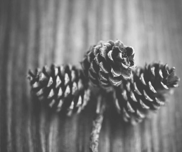 Gain Control Over Business Spends