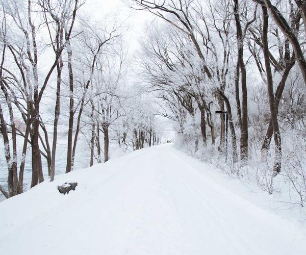 Expense Management Dashboard