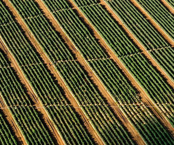 Effortless Expense Reporting