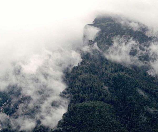 HR Software Dashboard