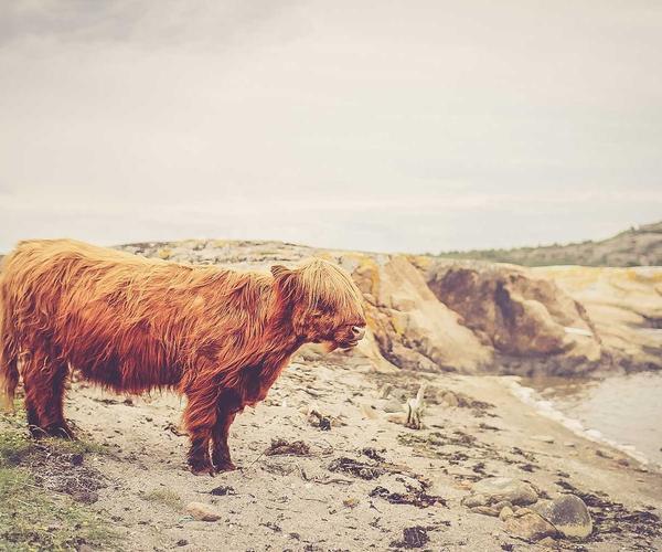 Foster Continuous Growth