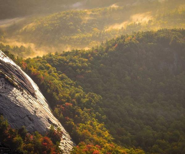 Build a Powerful Knowledge Base