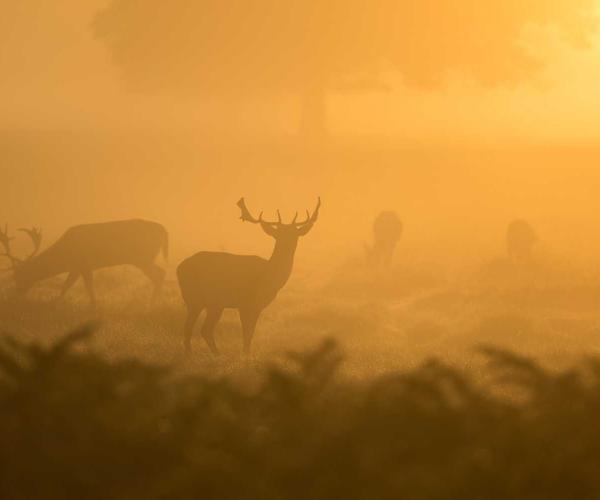 Develop and Retain Top Talent