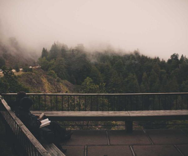 Holistic Performance Reviews