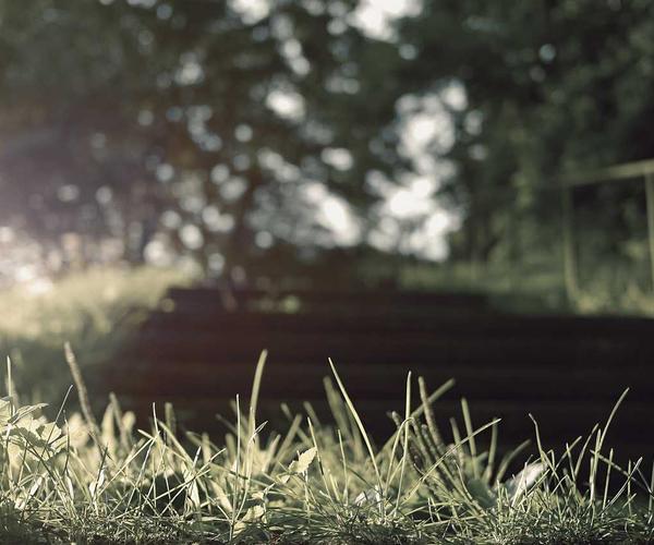 Recruitment Software